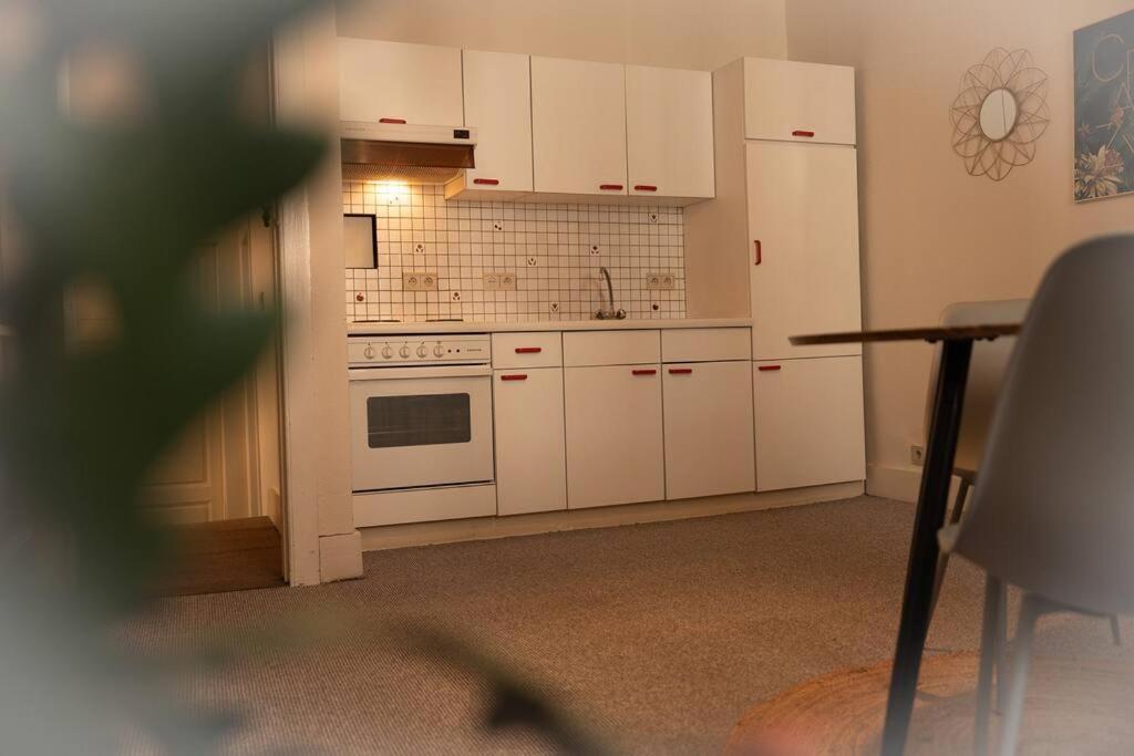 Vila Camelia, Un Charme Montois Mons Exteriér fotografie